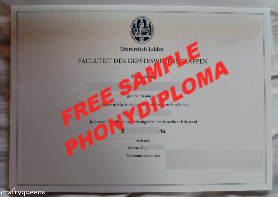 Fake Diploma from German University German D