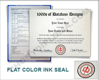 Fake College Diploma with Transcripts