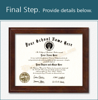Fake College Diploma Wrapped Desig