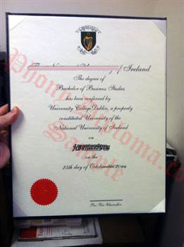 novelty degree certificates uk
