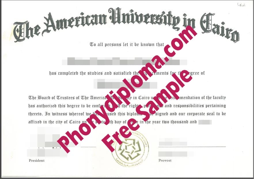 American University In Cairo Free Sample From Phonydiploma