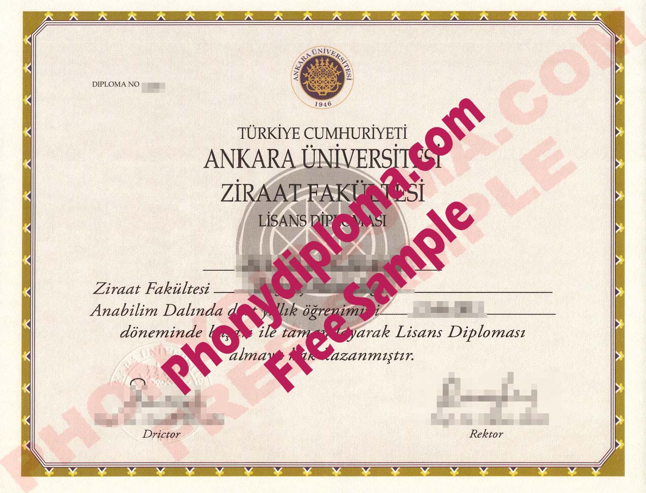 Ankara Universitesi Free Sample From Phonydiploma
