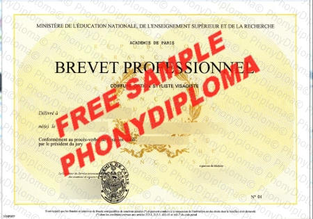 France Academie De Paris Brevet Professionnel Fake Diploma Sample