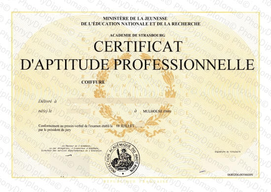France Certificat Strasbourg D'aptitude Professionnelle Faux Diplôme Échantillon De Phonydiploma