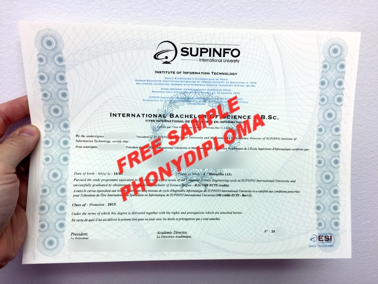 France Supinfo Photo Free Sample From Phonydiploma