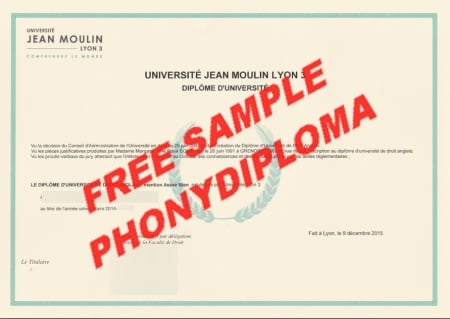 France Université Jean Moulin Lyon 3 Free Sample From Phonydiploma