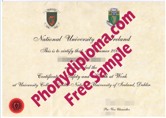 Ireland National University Of English Version Free Sample From Phonydiploma