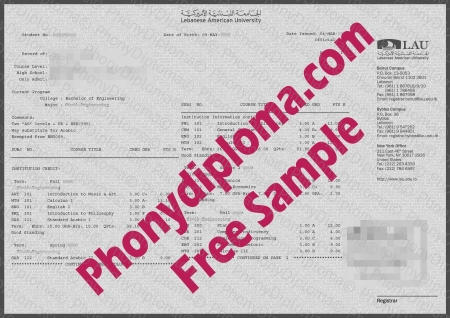 Lebanon Lebanese American University Actual Match Transcript Free Sample From Phonydiploma