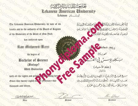 Lebanon Lebanese American University Free Sample From Phonydiploma