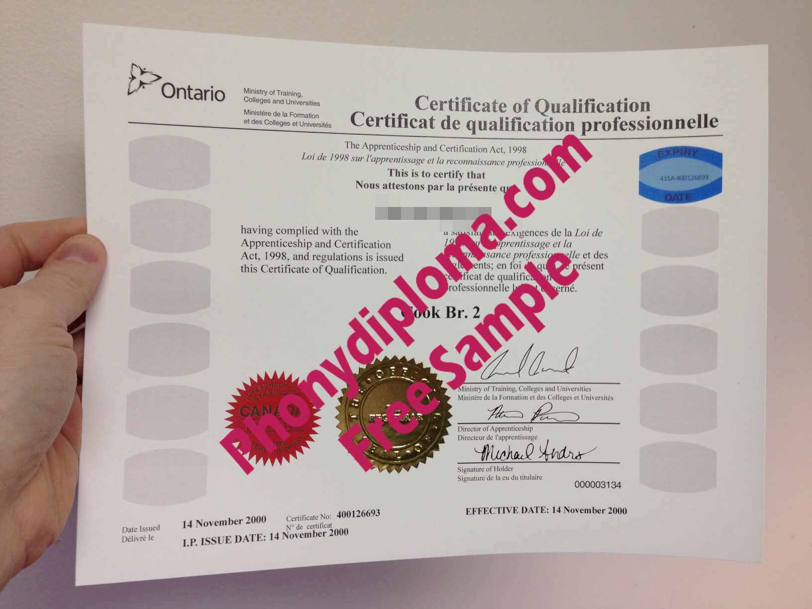Ontario Canada Apprentice Red Seal Qualification Free Sample From Phonydiploma