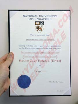 National University Of Singapore Photo Inquiry
