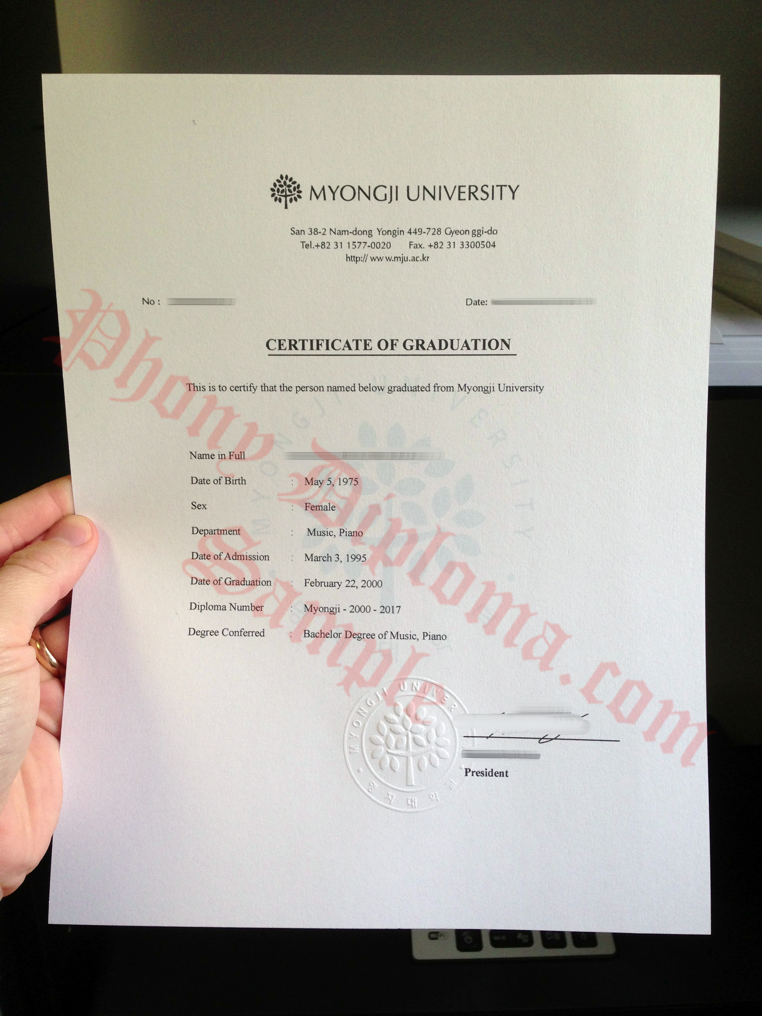 Myongji University Certificate Of Graduation Photo