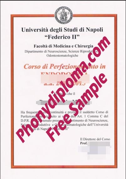 Universita Degli Studi Di Napoli Federico Ii Free Sample From Phonydiploma