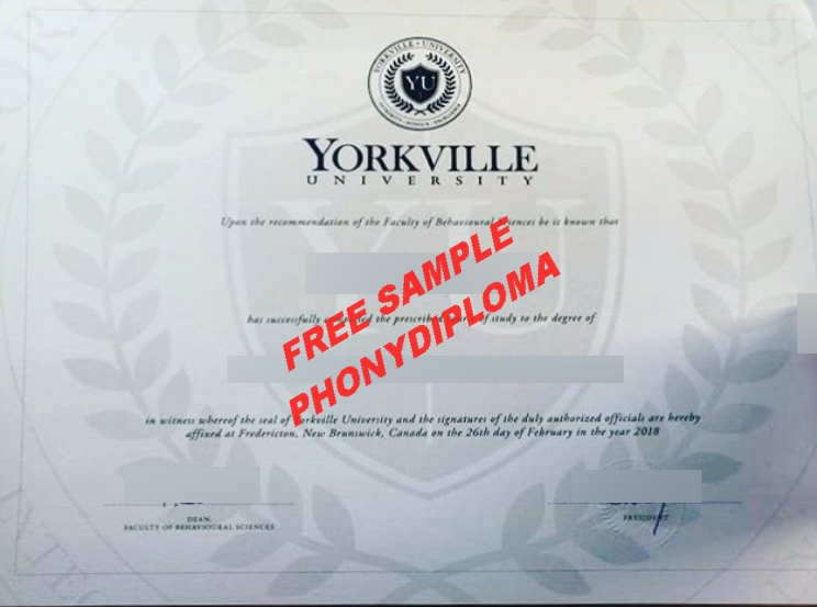 Yorkville University 2 Free Sample From Phonydiploma