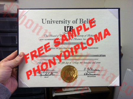 Belize University Of Belize Free Sample From Phonydiploma
