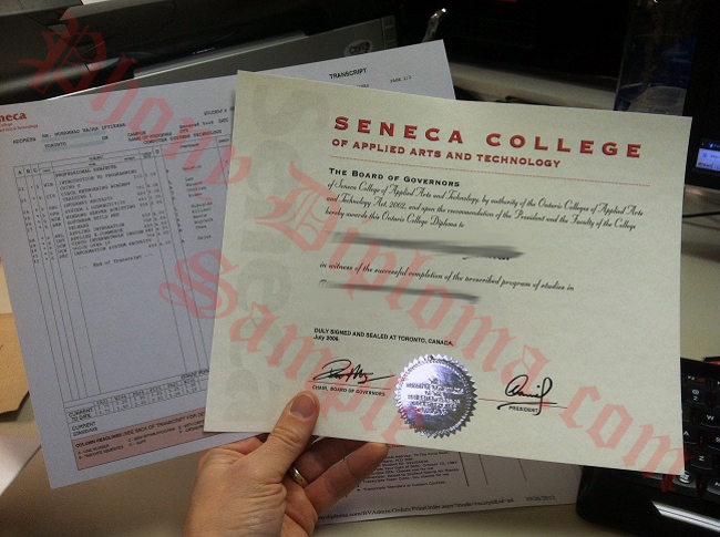 Canada Seneca Photo Diploma And Transcript Free Sample From Phonydiploma