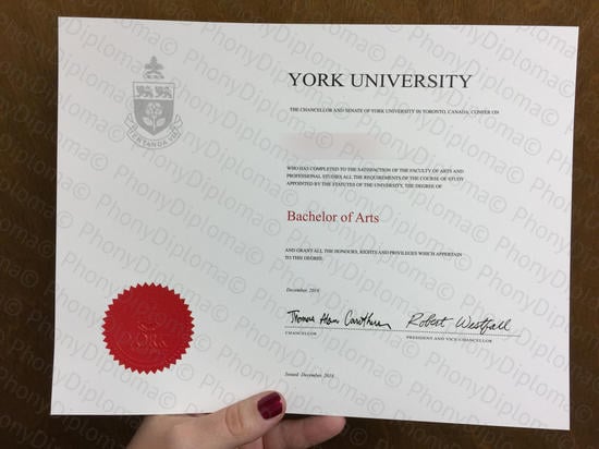 Canada York University Photo Free Sample From Phonydiploma
