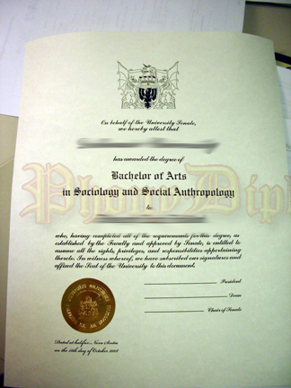 Fake International Diploma Sample 5