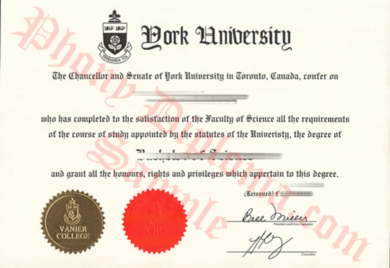 York University Bs Vanier College Fake Diploma From Canadian School From Phonydiploma
