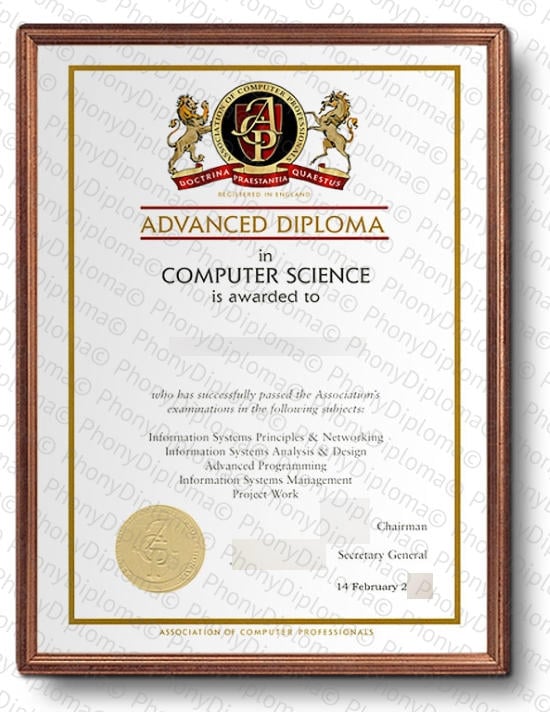Association Of Computer Professionals Certificate Free Sample From Phonydiploma