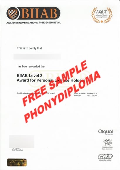 Biiab 2 Certificate Free Sample From Phonydiploma