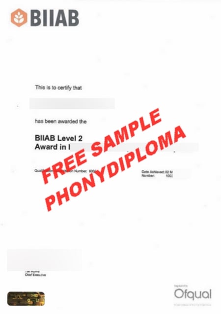 Biiab Certificate Free Sample From Phonydiploma
