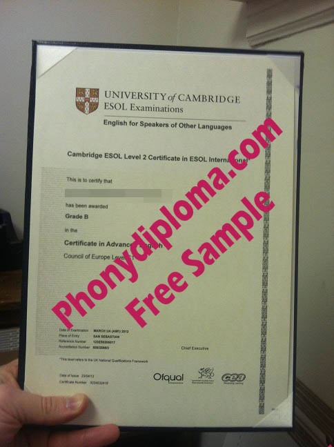 Esol Cambridge Level 2 Free Sample From Phonydiploma