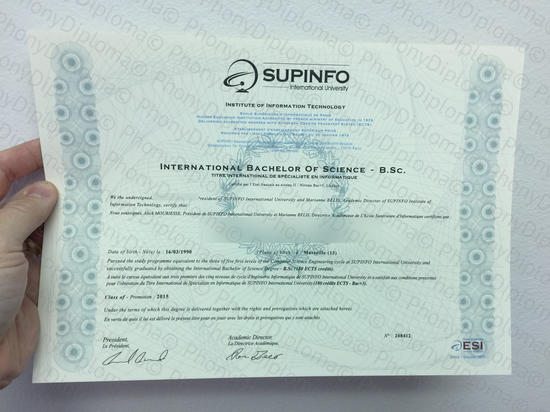 Supinfo Free Sample From Phonydiploma