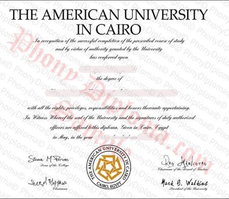 Egypt American University In Cairo Egypt Fake Diploma Sample