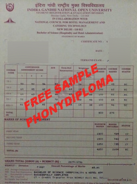 India Indira Gandhi National Open University Actual Match Transcript Free Sample From Phonydiploma