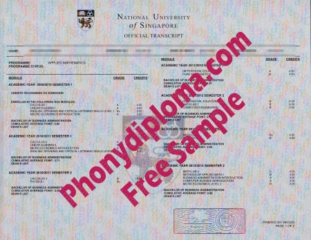 Malaysia National University Of Singapore Actual Match Transcript Free Sample From Phonydiploma