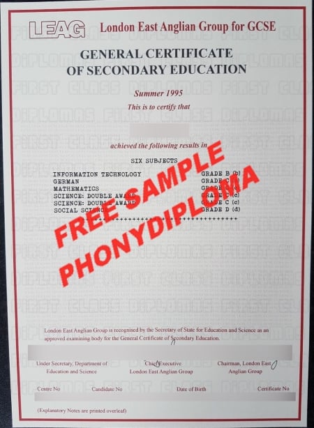 Uk London East Anglian Group Gcse Free Sample From Phonydiploma