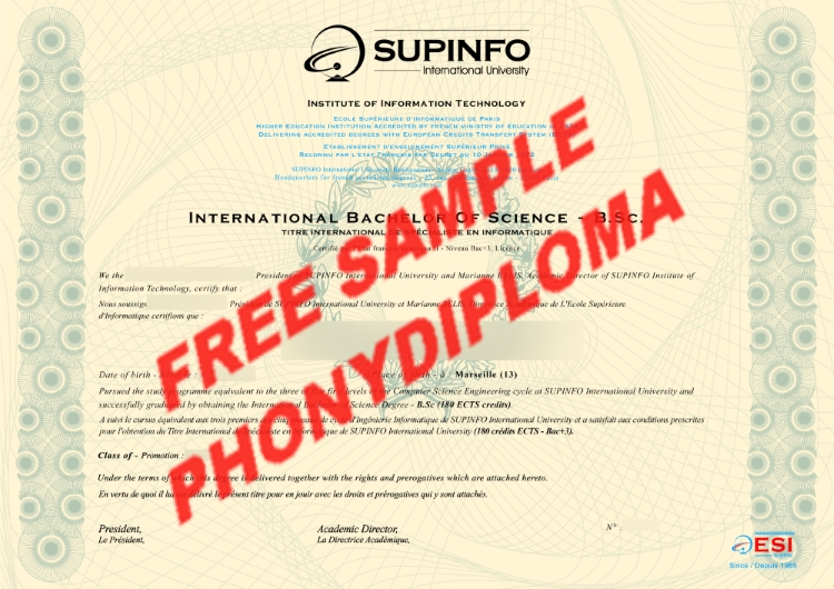 Uk Supinfo Free Sample From Phonydiploma