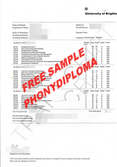 Uk University Of Brighton Actual Match Transcript Free Sample From Phonydiploma