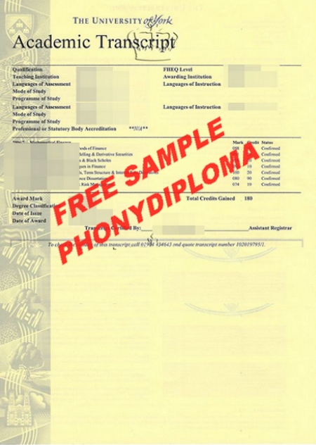 Uk University Of York Actual Match Transcript Free Sample From Phonydiploma