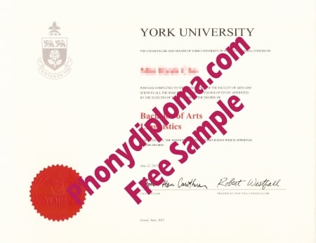 Uk York University Free Sample From Phonydiploma