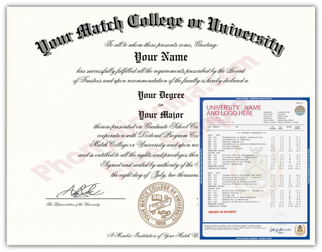 Actual Design Match Raised Gold Seal Diploma