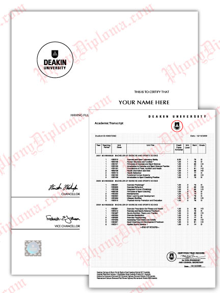 Actual Design Match Raised Gold Seal Diploma