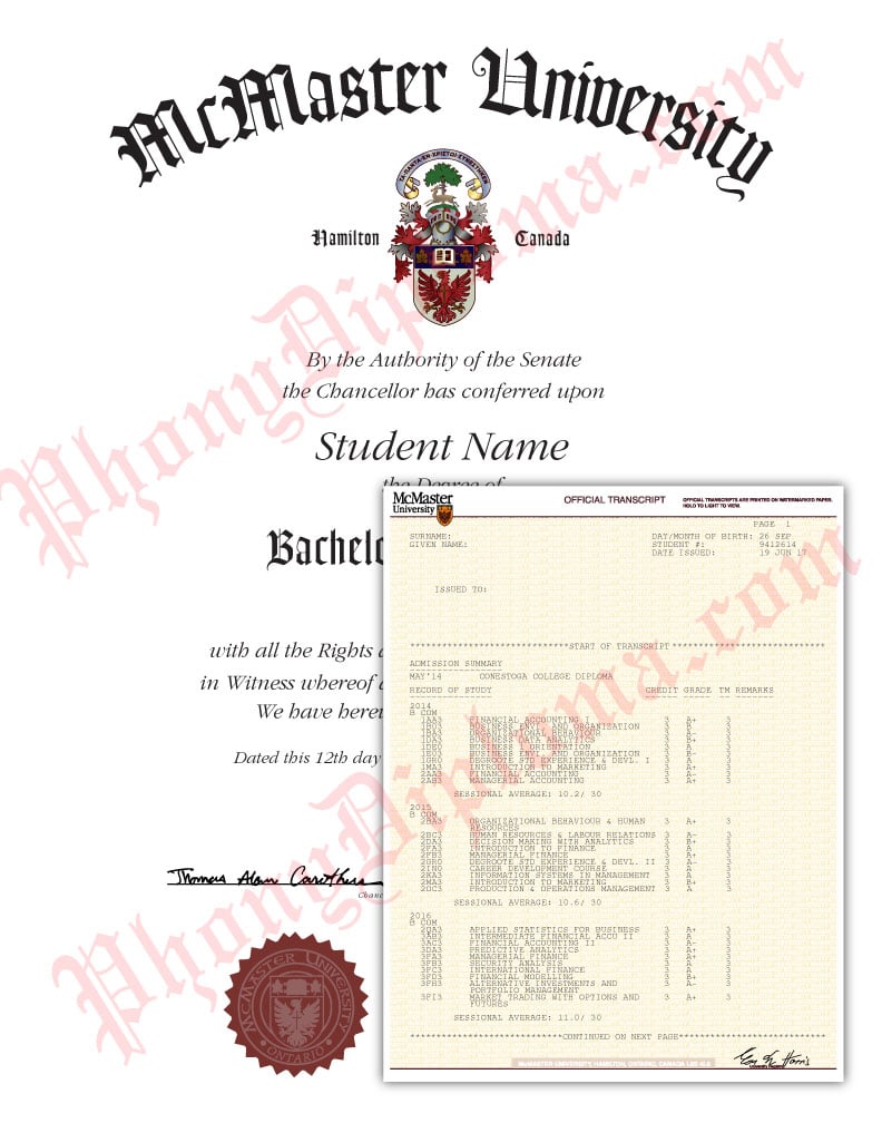 Actual Design Match Raised Gold Seal Diploma