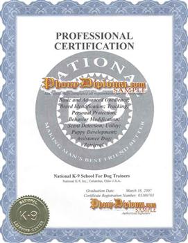 Cert Professional Certification Cert Prof Cert