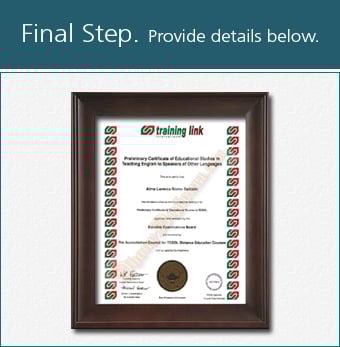 TESOL International Design Vertical TESOLIV