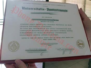 Fake Diploma from Puerto Rico University Puerto Rico D