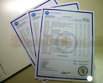 Paper Diploma 