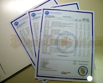 Paper Samples - Realistic Diplomas