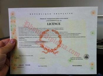 French fake diploma
