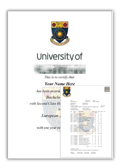 Actual Design Match Raised Gold Seal Diploma