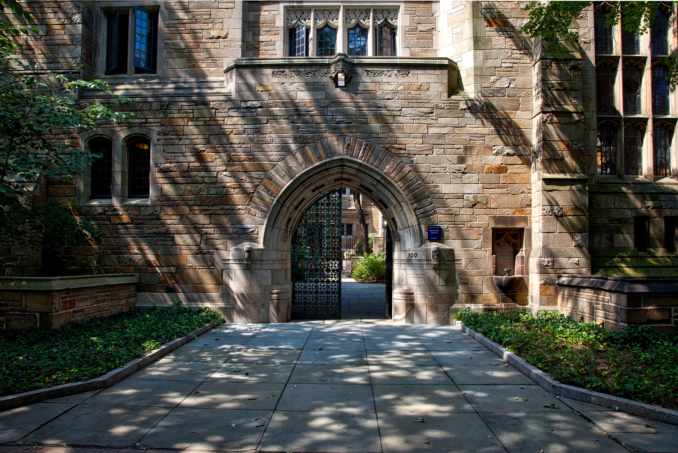 What are the Different Types of College and University Degrees