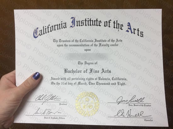 Usa Cal Institute Of The Arts Photo Free Sample From Phonydiploma · United States