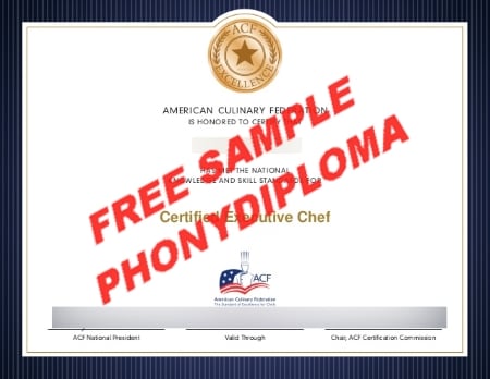 Usa Certified Executive Chef Culinary Free Sample From Phonydiploma · United States