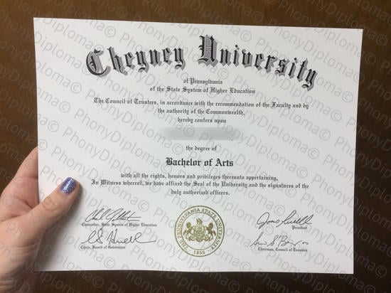 Usa Cheney University Free Sample From Phonydiploma · United States